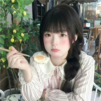 驯鹰者的崛起